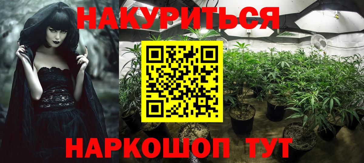 Бошки марихуана конопля  Марихуана тримм  Вход с VPN  Канабис планчик  Майский 